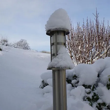 Aritee Sonnenschein * Willingen (Upland)