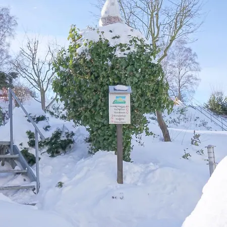 Aritee Sonnenschein *