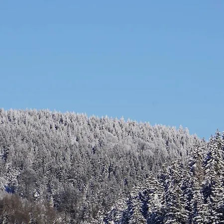 Apartmán Aritee Sonnenschein