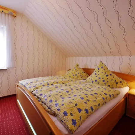 Aritee Sonnenschein *