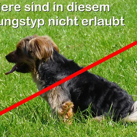 Aritee Sonnenschein * Willingen (Upland)