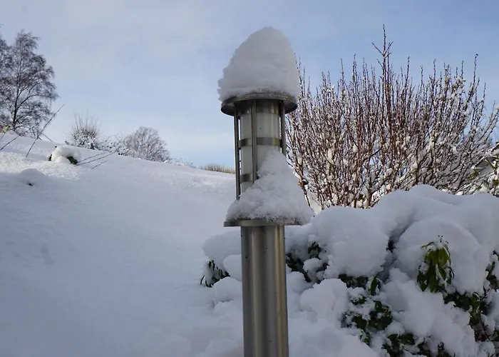 Aritee Sonnenschein * فيلنغن