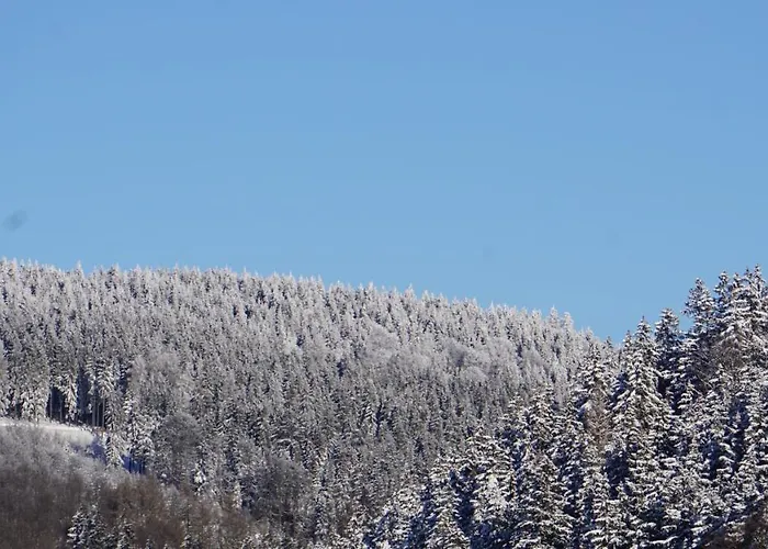 شقة Aritee Sonnenschein