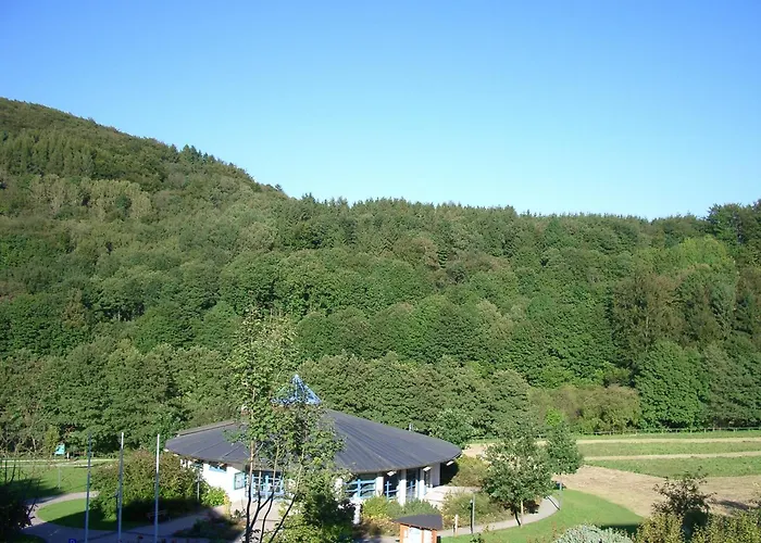 Aritee Sonnenschein فيلنغن