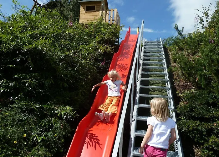 Aritee Sonnenschein *